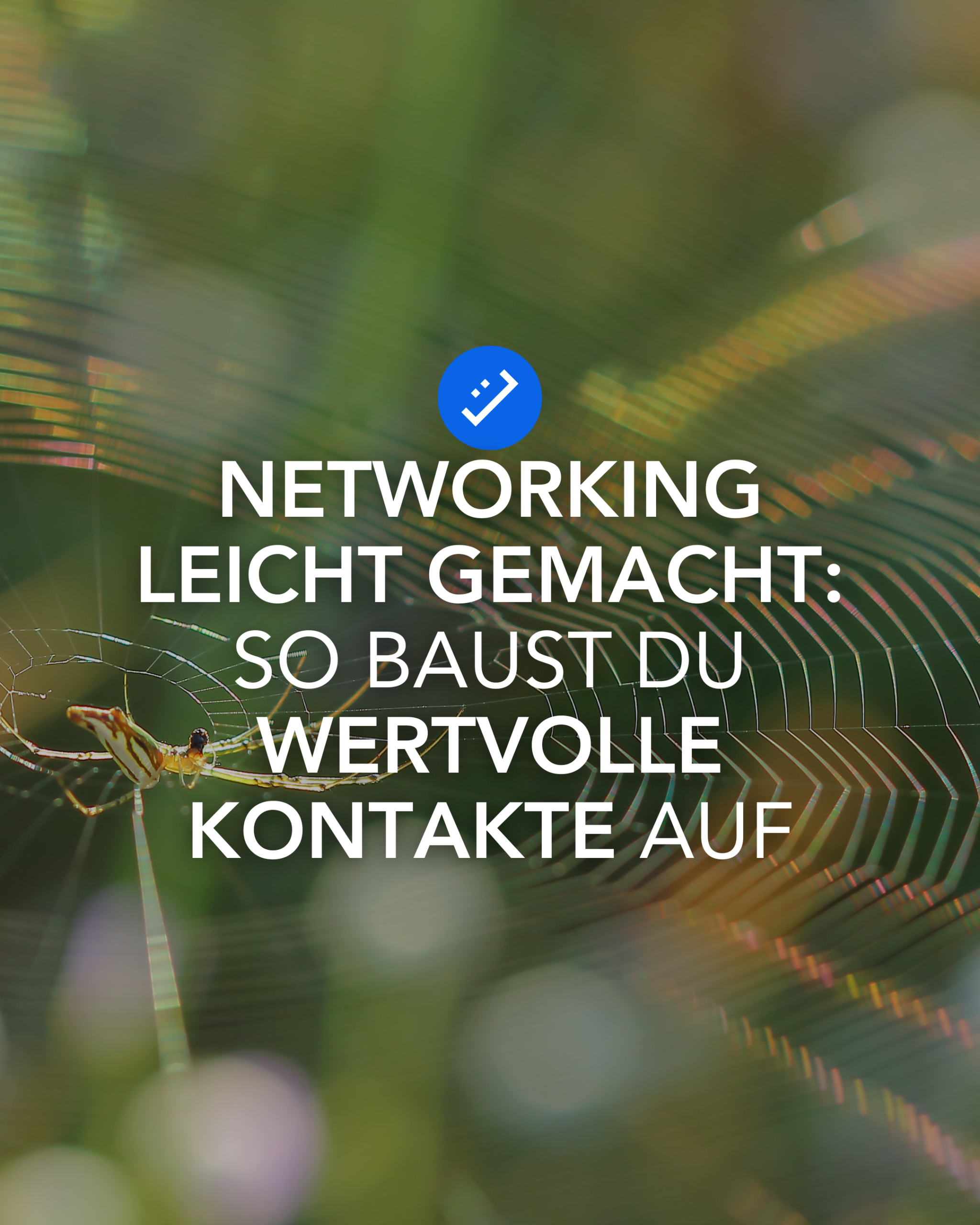 Text auf Bild. Auf dem Bild ist ein Spinnennetz mit links einer Spinne zu sehen.